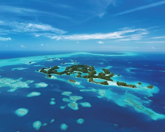 永續帛琉的闖關者！「Pristine Earth 永續旅遊發展協會」4╱23正式成立